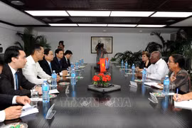 Des dirigeants cubains convaincus des belles perspectives de coopération avec le Vietnam