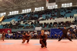 La Fédération algérienne de Jujitsu Son Long Quyen Thuat voit le jour