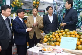 Promotion du commerce des spécialités régionales du Vietnam