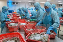 Les exportations de crevettes se sont envolées en 2017