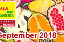 Hanoï participera au Salon Asia Fruit Logistica 2018