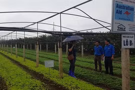 Programme d’aide directe 2018-2019 du gouvernement australien 