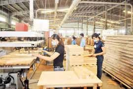 Filière bois et ameublement: 2,6 milliards de dollars d'exportation en 4 mois 