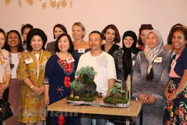 Promotion de la culture vietnamienne en Australie