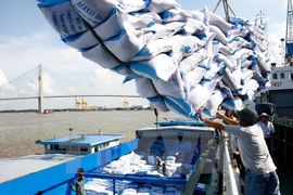 Exportations nationales de riz en hausse tant en volume qu'en valeur