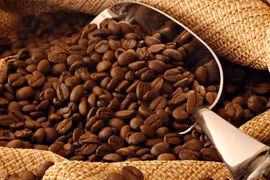 Les exportations nationales de café atteignent plus de 2 milliards de dollars