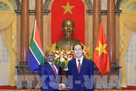 Le président Tran Dai Quang reçoit les ambassadeurs sud-africain et égyptien