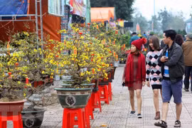 Des étrangers enthousiastes de vivre le Têt au Vietnam