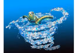 Sur les îles de Quang Ninh, les gens transforment des déchets en œuvres d’arts