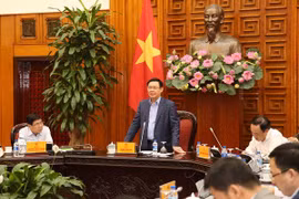 Actionnarisation des entreprises publiques : Ho Chi Minh-Ville doit être plus dynamique