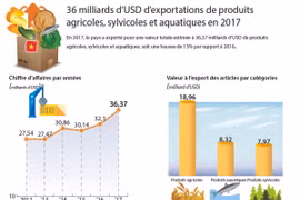 36 milliards d’USD d’exportations de produits agricoles, sylvicoles et aquatiques en 2017