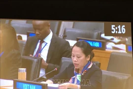 Le Vietnam partage ses expériences en matière de refus de la pauvreté à l’ONU