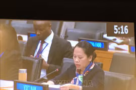 Le Vietnam partage ses expériences en matière de refus de la pauvreté à l’ONU
