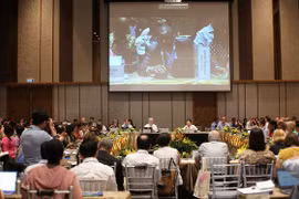 La 6e AG du GEF : le Vietnam préside de nombreux événements importants