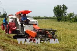 Vietnam et Japon partagent des expériences de développement des produits agricoles
