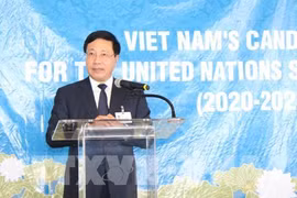 Mobilisation des pays pour soutenir la candidature du Vietnam au Conseil de sécurité de l’ONU