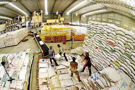 Procéder à des changements plus actifs dans la restauration agricole