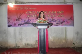 La communauté des Vietnamiens à l’étranger salue le Nouvel An lunaire 2018 