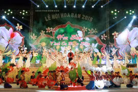 Diverses activités lors de la Fête de la fleur de bauhinie 2019 à Dien Bien