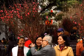 Le Têt Traditionnel et les tabous des Vietnamiens