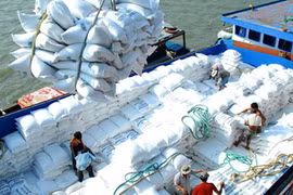 Hausse de 40% des exportations nationales de riz en cinq mois