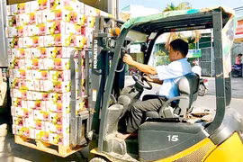 Plus de 150 tonnes de produits agricoles vietnamiens exportés mensuellement vers la Thaïlande