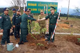 Plantation d’arbres au carrefour des frontières Vietnam - Laos - Cambodge