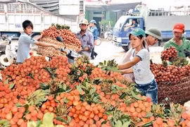 Lier la production agricole pour gagner des parts de marché