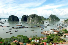 Pour mieux protéger l'environnement de la baie d'Ha Long
