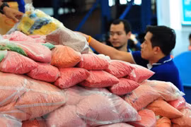 Des pays en Asie du Sud-Est détruisent un grand volume de drogue