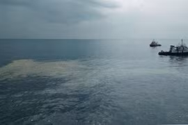 Accident de Boeing 737 Max 8 : le Vietnam envoie des sympathies aux dirigeants indonésiens