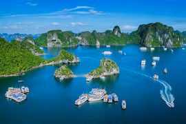 Tourisme maritime du Vietnam: croissance impressionnante
