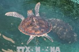 Parc national de Nui Chua : Préservation de la biodiversité liée au tourisme durable