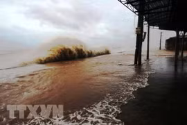 Le Comité des typhons contribue au développement durable