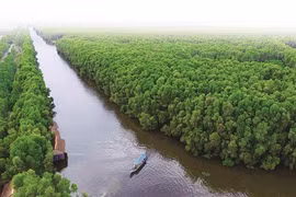 Tourisme durable au Parc national de Tràm Chim