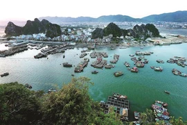 À l’est de la baie de Ha Long