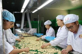 Janvier: exportations de ​plus de 3 mlds de dollars des produits agro-sylvico-aquatiques 