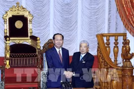 Entrevue Tran Dai Quang-président de la Chambre des conseillers du Japon
