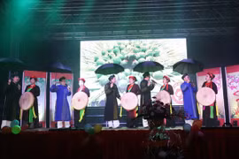 La communauté des Vietnamiens en Allemagne et en Malaisie fête le Têt 2018