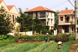 L’agriculture bio, une tendance inéluctable au Vietnam