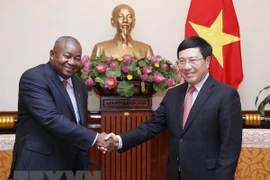 Le vice-Premier ministre Pham Binh Minh reçoit le nouvel ambassadeur mozambicain