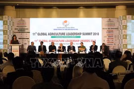 Le Vietnam au 11e Sommet mondial sur le leadership en agriculture en Inde 