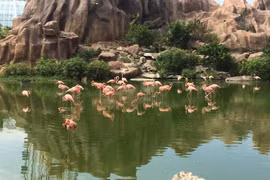 La province de Khanh Hoa appelle les touristes de l’ASEAN