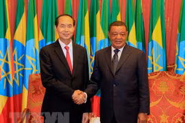 Les visites du président vietnamien en Ethiopie et en Egypte couronnées de succès
