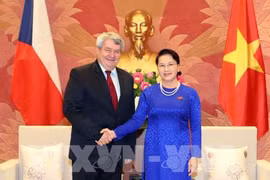 La présidente de l’AN reçoit le vice-président de la Chambre des députés de la R. tchèque