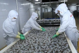 Le Vietnam est déterminé au développement durable des produits aquatiques