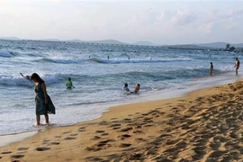 Le Vietnam s'efforce de devenir un pays fort par la mer