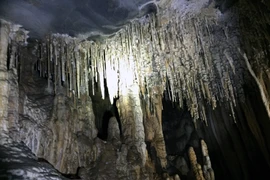 Quang Binh: Lancement du nouveau circuit touristique "Découvrez les grottes Vom et Gieng Vooc"