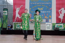 Les Vietnamiens dans différents pays fêtent le Têt du Chien