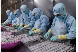 dollars vers la Canada, les Etats-Unis et la Grande Bretagne.de 2018 